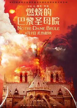燃烧的巴黎圣母院 Notre-Dame brûle (2022)